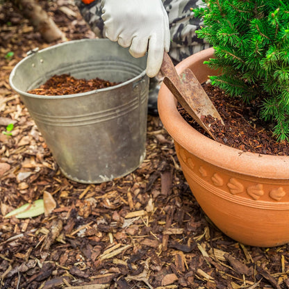 Premium Eucalyptus Wood Mulch for Indoor, Patio, Potting Media, Gardens, Lawns, and Landscaping (2