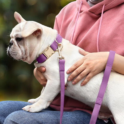 PET ARTIST PU Leather Dog Collar, Bright & Stylish Purple Dog Collar Girl with Quick Release Gold