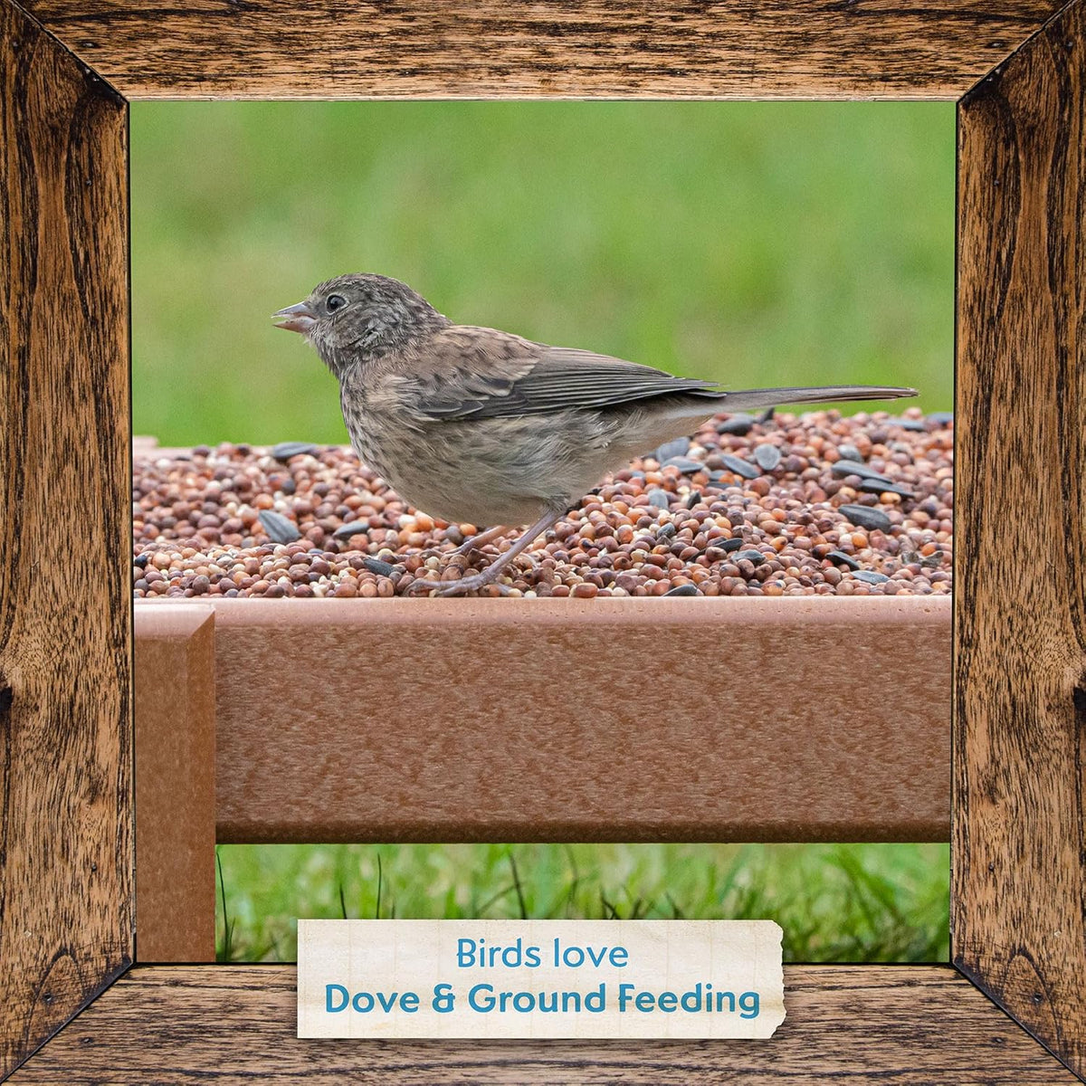 Morning Song Dove & Ground Feeding Wild Bird Seed -12 lb. Dove, Quail & Pigeon Wild Bird Food for