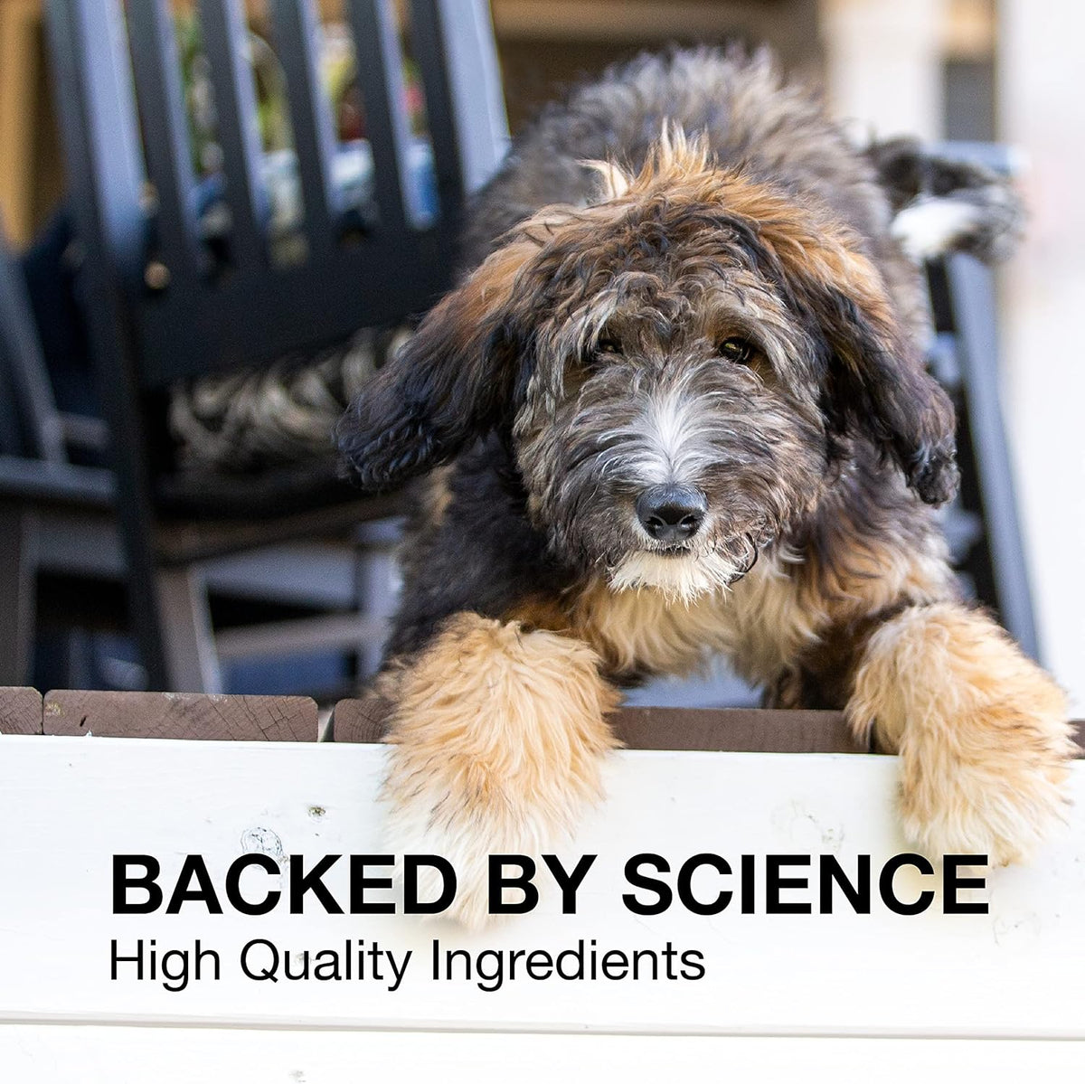 Nutramax Laboratories Denosyl Liver and Brain Health Supplement for Large Dogs, With