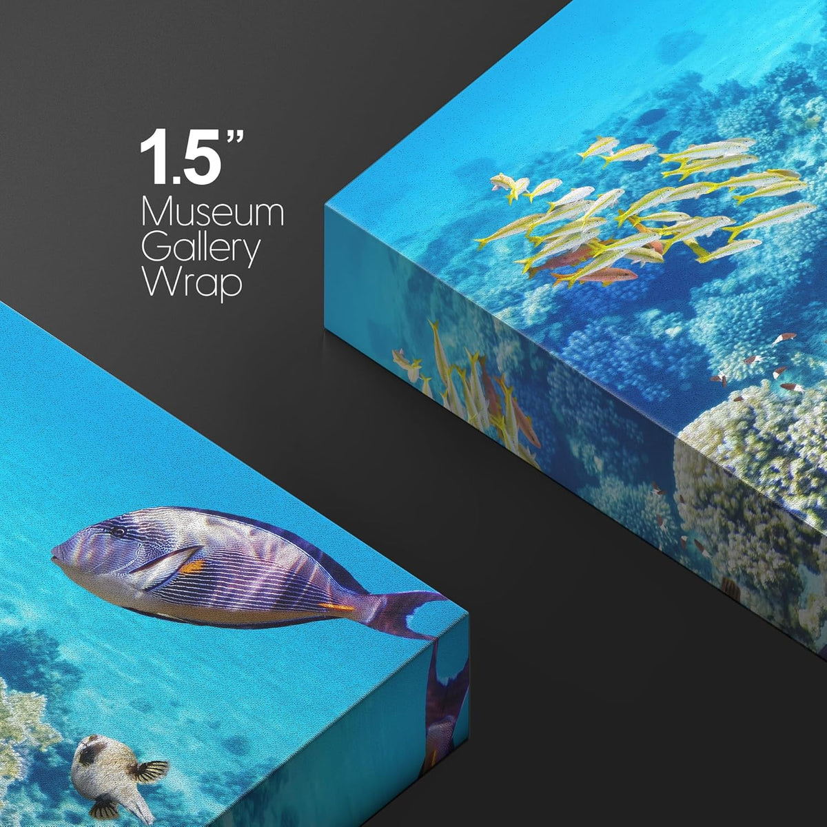 wall26 Canvas Print Wall Art Tropical Underwater Ocean Sea Fish Reef Nature Animals Photography