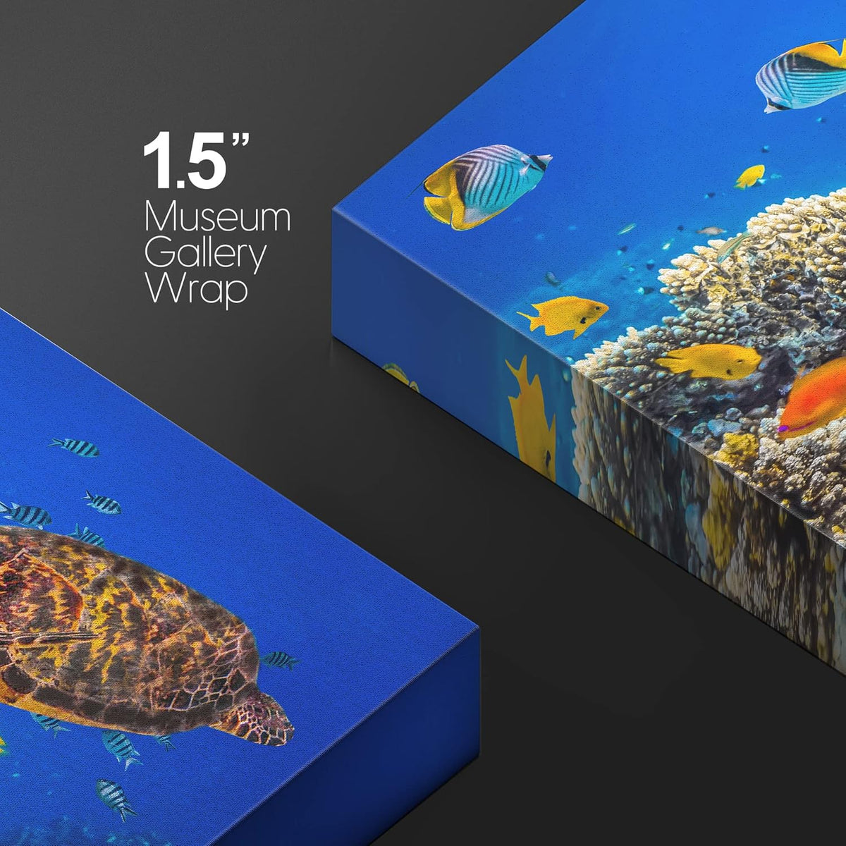 wall26 Canvas Print Wall Art Neon Coral Reef Blue Hippo Tang Fish Turtle Nature Animals Photography