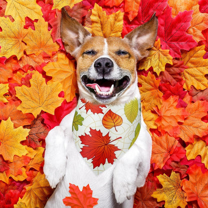 Abbylike 50 Pcs Fall Thanksgiving Dog Maple Leaves Bandanas Bulk Bandanas for Dogs Triangle