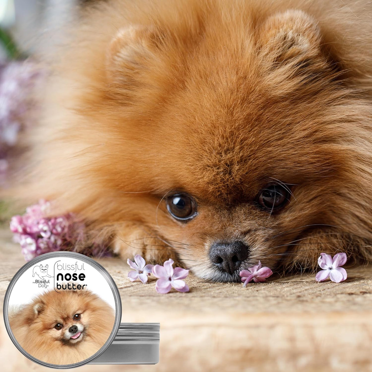 The Blissful Dog Pomeranian Nose Butter for Dry, Cracked Skin, Lick-Safe Dog Nose Balm with
