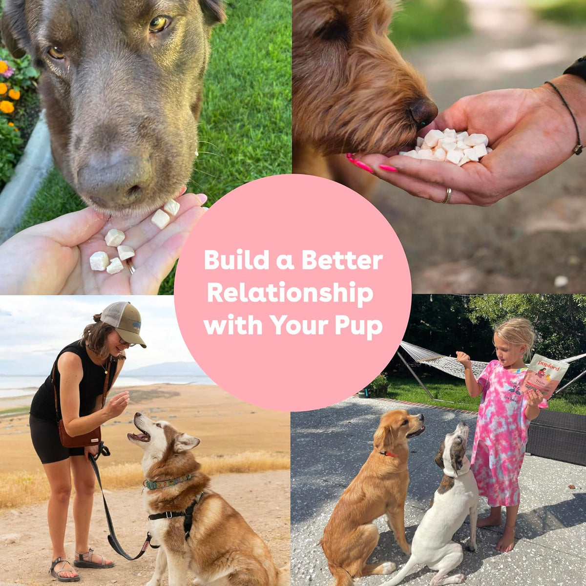 Pupford Freeze Dried Training Treats for Dogs & Puppies, 450+ One Ingredient Bites (Sweet Potato, 4