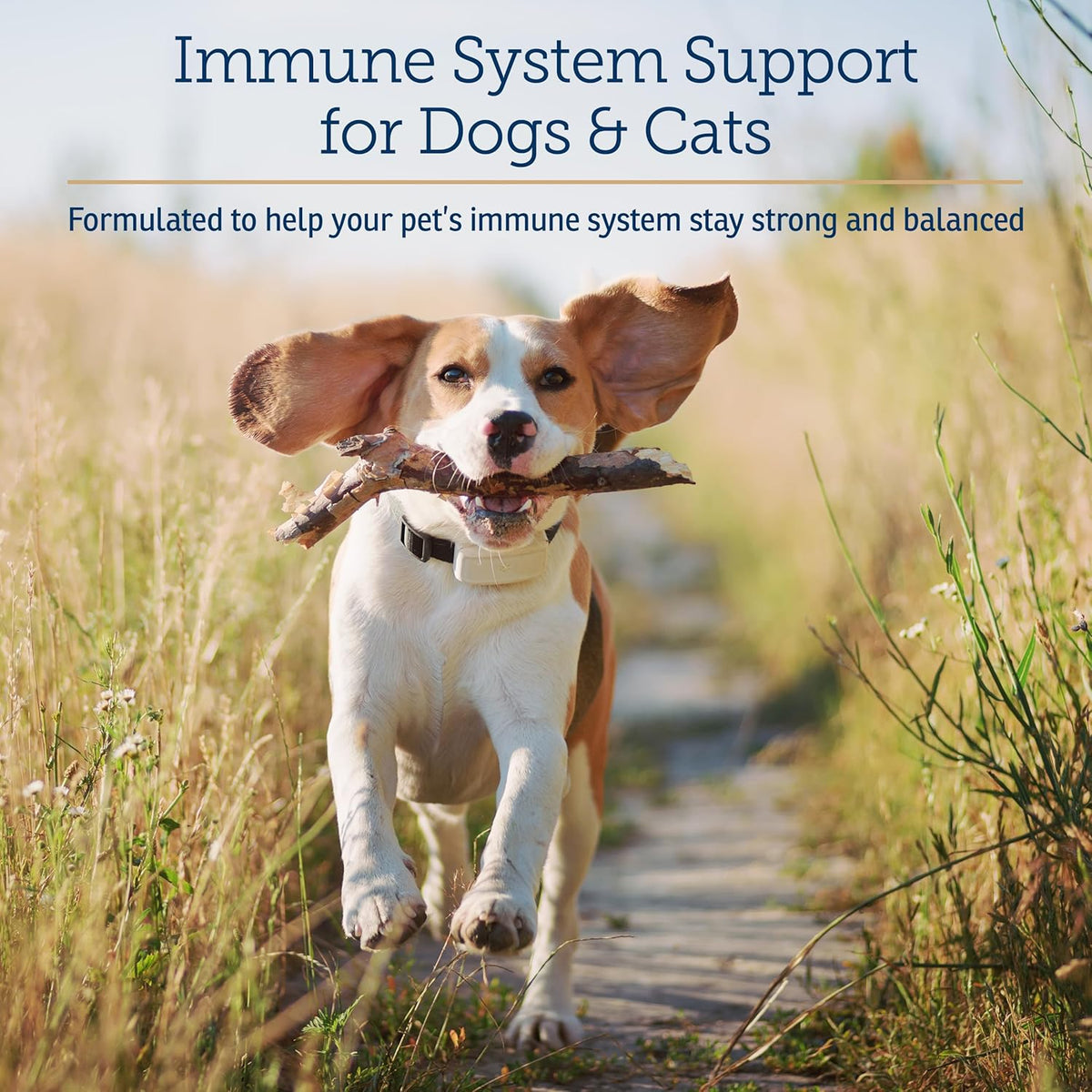 Rx Vitamins CurcuWIN - Curcumin for Dogs & Cats - Vitamins and Supplements, Allergy Relief