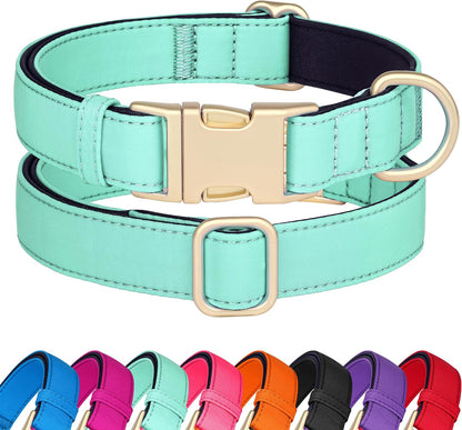 Didog Soft Padded Dog Collars for Small Dogs, Colorful and Durable Dog Collar with Quick Release