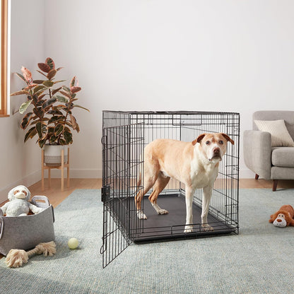 Amazon Basics Durable, Foldable Metal Wire Dog Crate with Tray, Single Door, 48 x 30 x 32.5 in