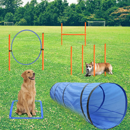 Dog Agility Training Equipment, Obstacle Agility Training Starter Kit for Doggie, Including Tunnel