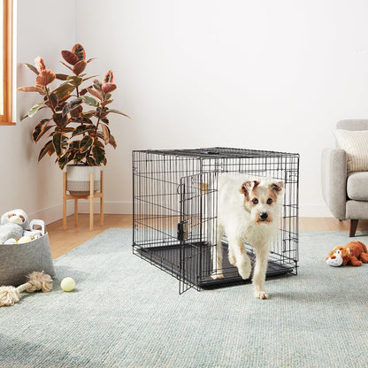 Amazon Basics Durable, Foldable, Collapsible, Portable Metal Wire Dog Crate with Tray, Single Door