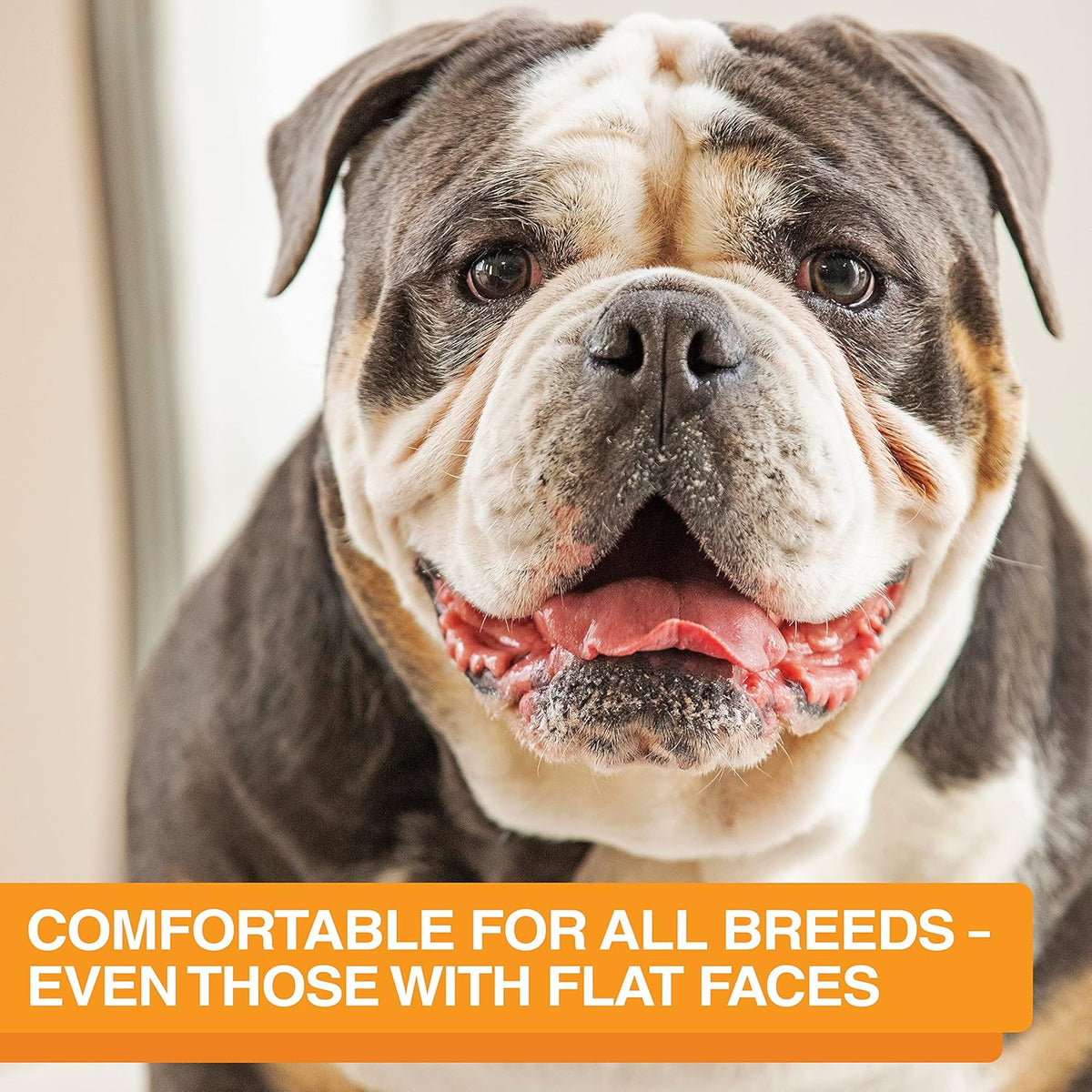 Neater Feeder Express Mess Proof Dog Bowls Elevated for Medium and Large Breed – Made in USA – No