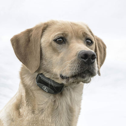 SportDOG Brand FieldTrainer 425X Remote Trainer - 500 Yard Range - Rechargeable Dog Training Collar