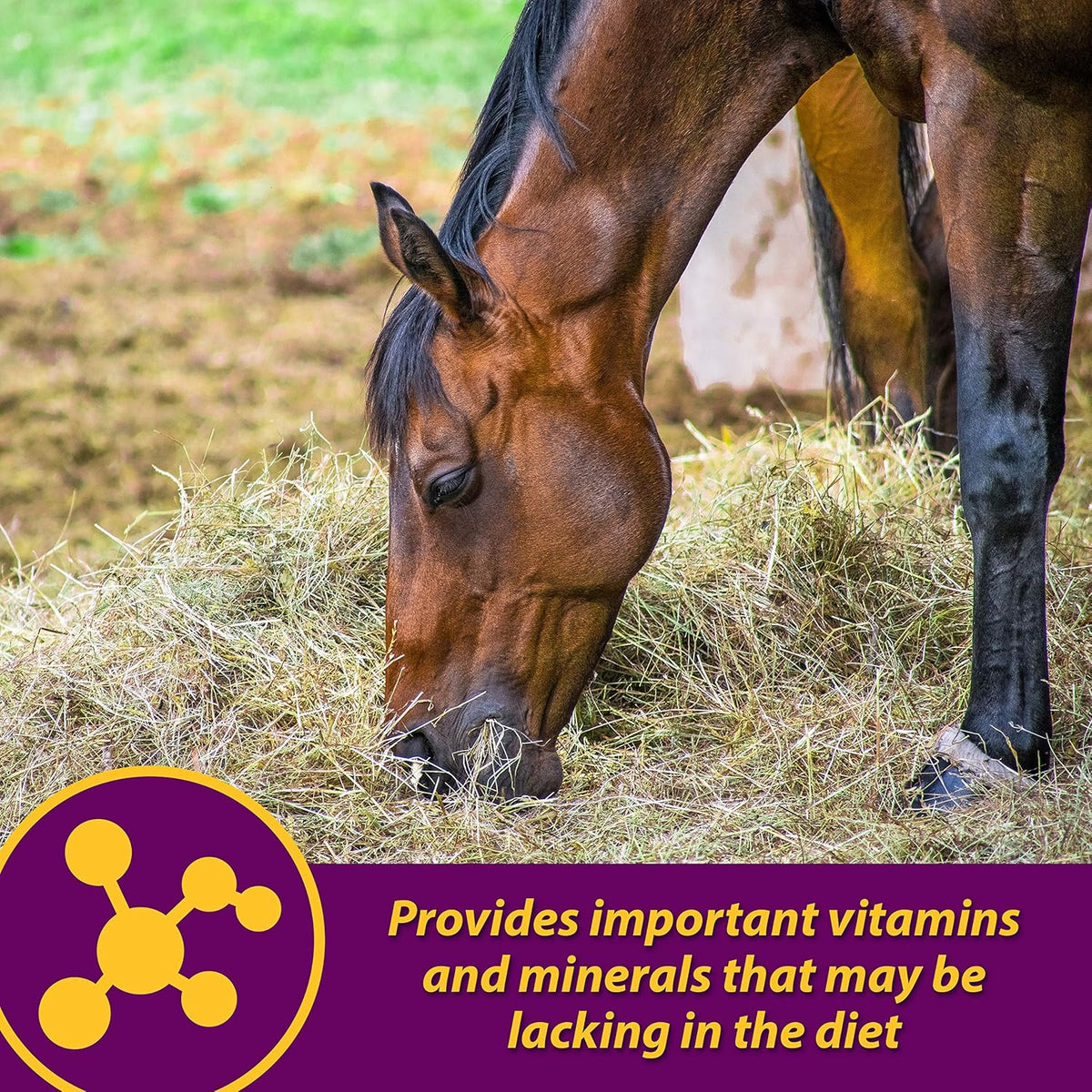 Farnam Horse Health Red Cell Pellets, Vitamin-Iron-Mineral Supplement for Horses, Helps Fill