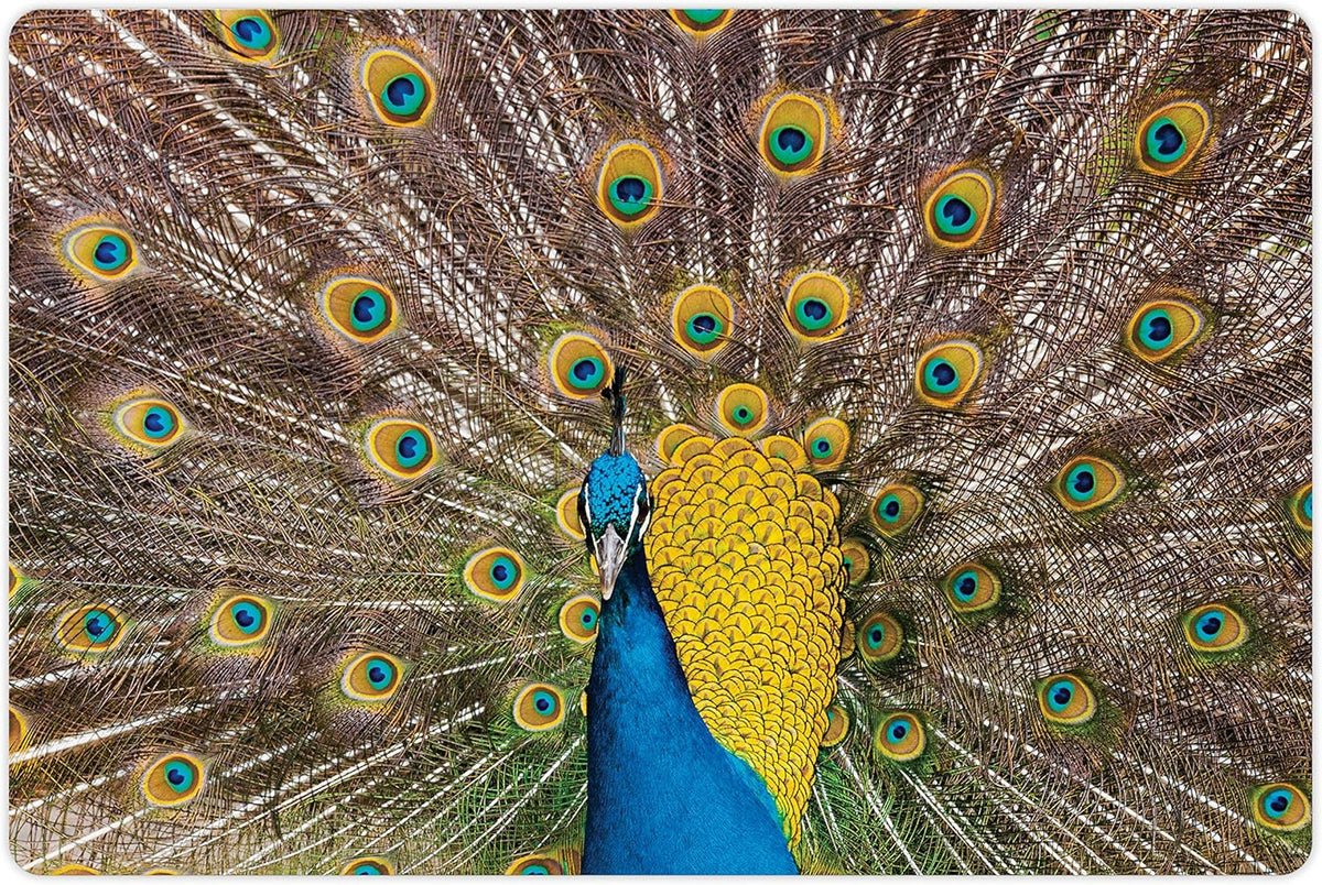 Lunarable Peacock Pet Mat for Food and Water, Peacock Displaying Feathers Vibrant Colors Eye Shaped