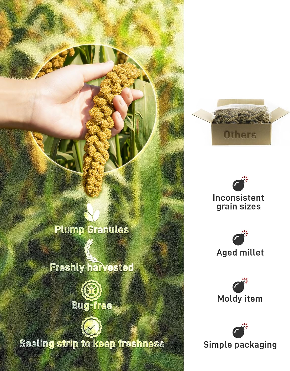 BUCATSTATE Spray Millet for Birds, Sun-Dried Healthy Millet Parakeet Treats for Parrots Cockatiel