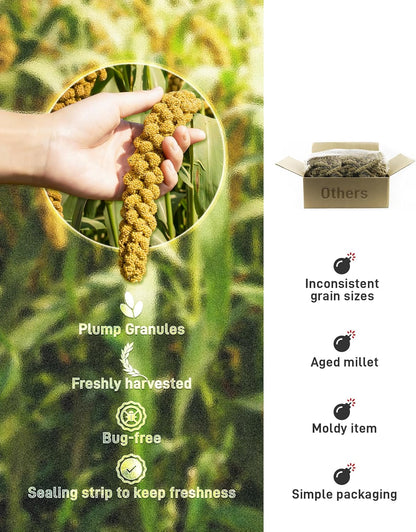 BUCATSTATE Spray Millet for Birds, Sun-Dried Healthy Millet Parakeet Treats for Parrots Cockatiel