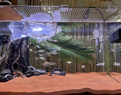 11lb Natural South American Rainforest Sand, Aquarium red Sand, Lava Rock Soil, Red Lava Rock Sand