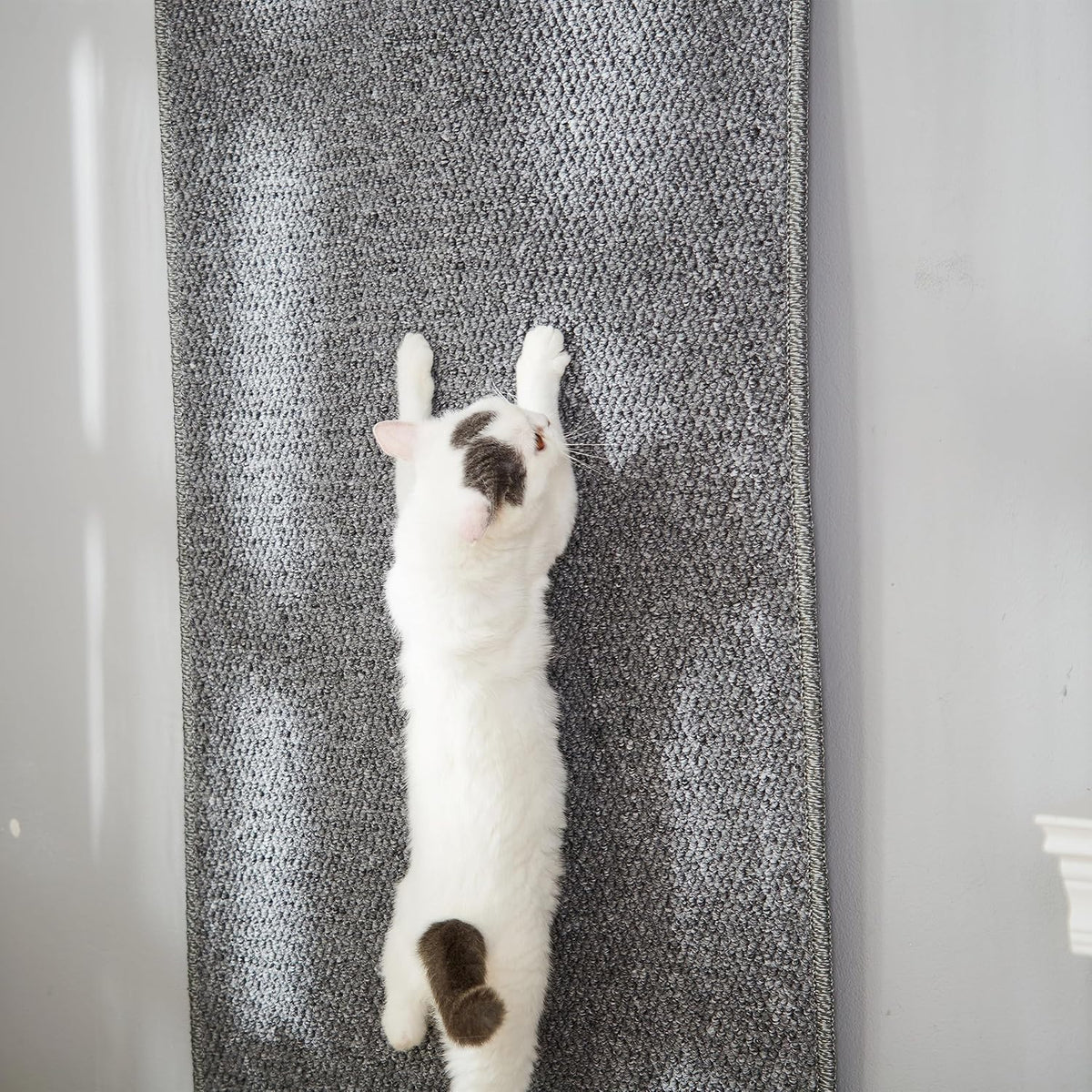 SHENGOCASE 67"x 23.6" Thickened Cat Wall Climbing Carpet, Cat Wall Furniture Scratcher, Scratching