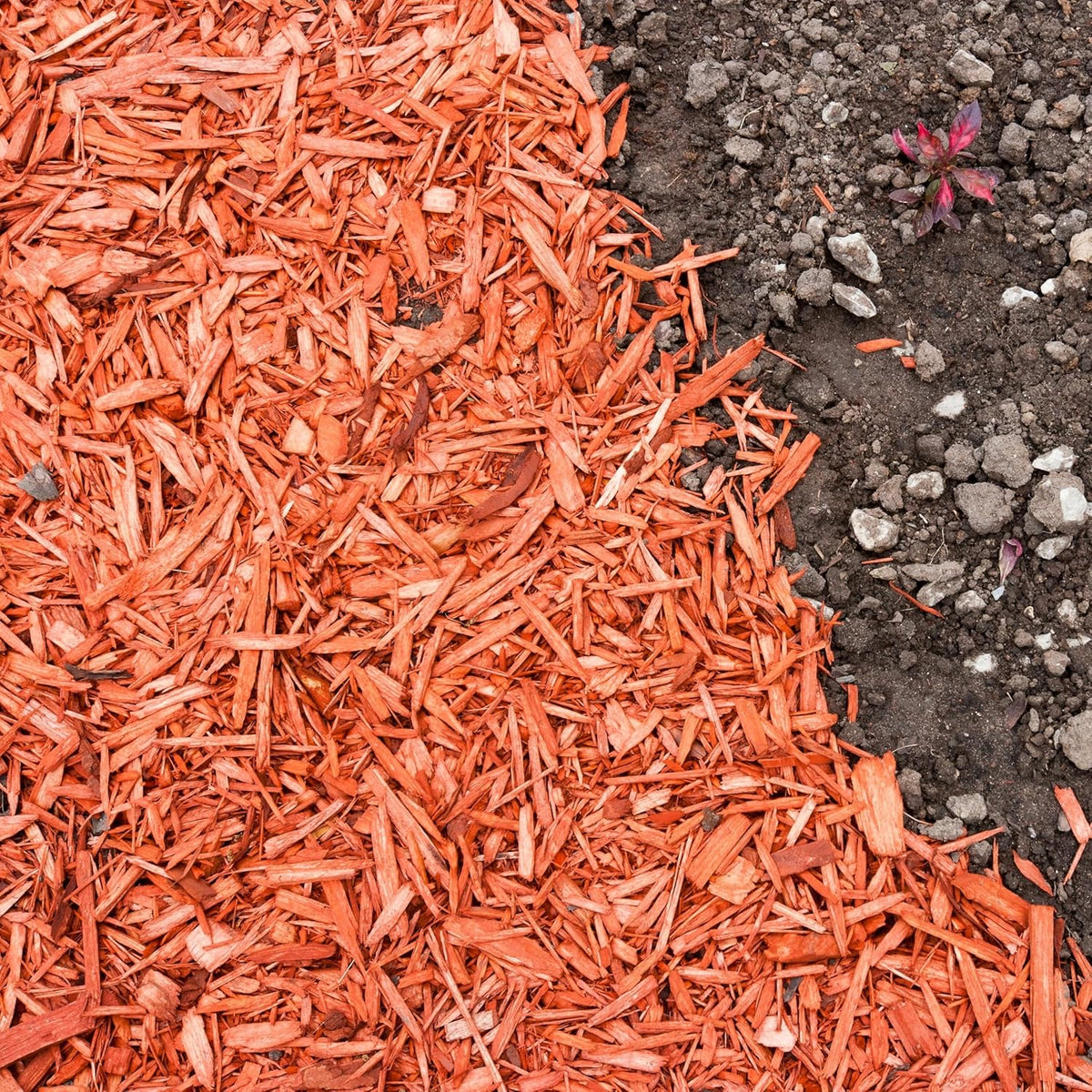 Premium Red Wood Mulch for Indoor, Patio, Potting Media, Gardens, Lawns, and Landscaping (0.2 CF